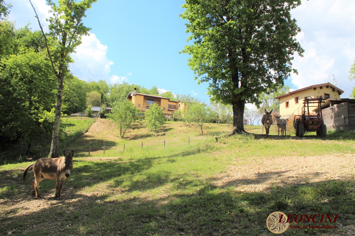 4 Bed, HouseFor Sale, Villafranca in Lunigiana, Toscana 4 Bed, HouseFor Sale, Villafranca in Lunigiana, Toscana