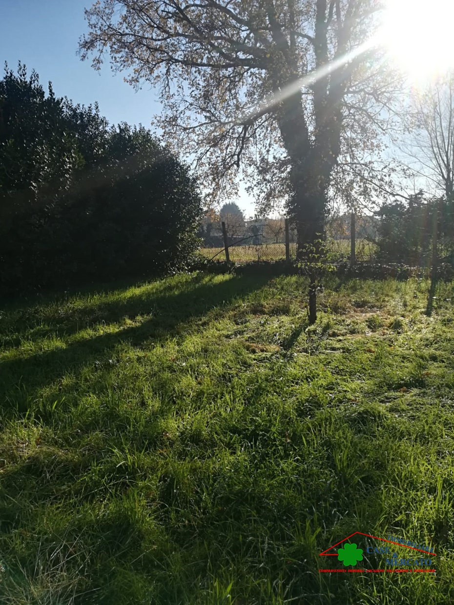 HouseFor Sale, Lucca, Toscana