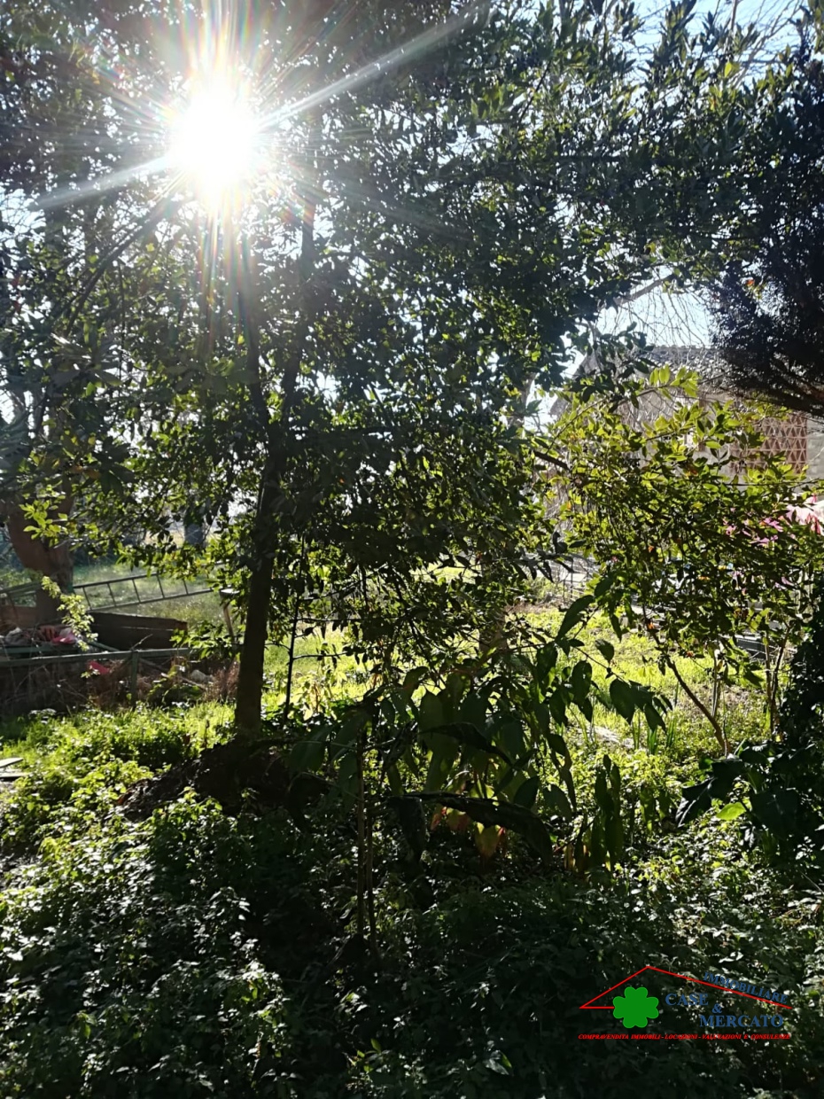 HouseFor Sale, Lucca, Toscana