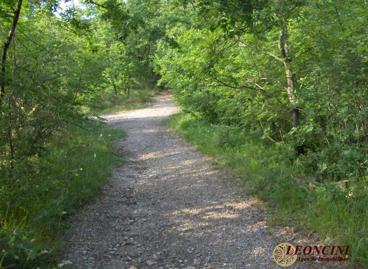 3 Bed, HouseFor Sale, Toscana