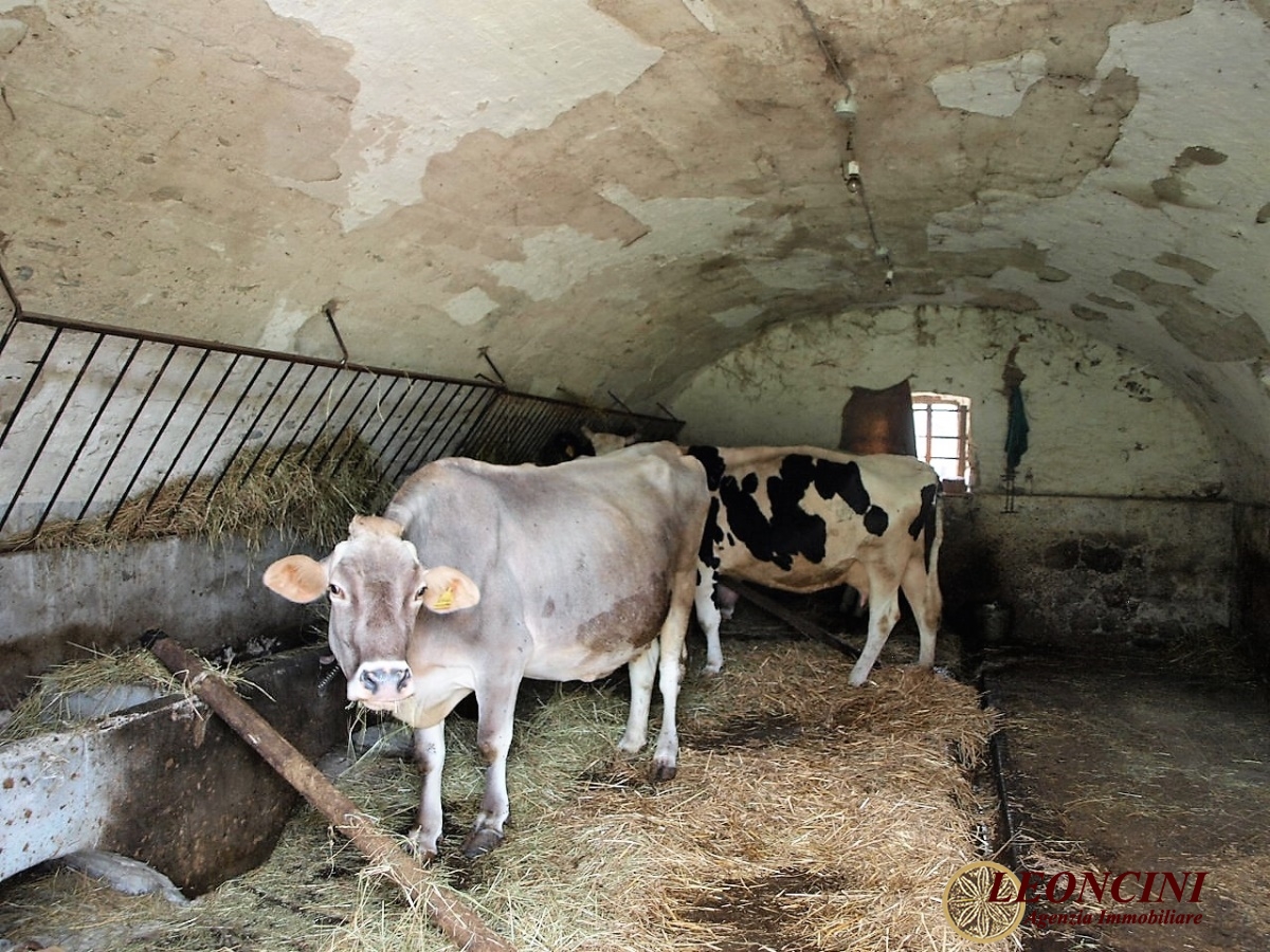 2 Bed, HouseFor Sale, Filattiera, Toscana