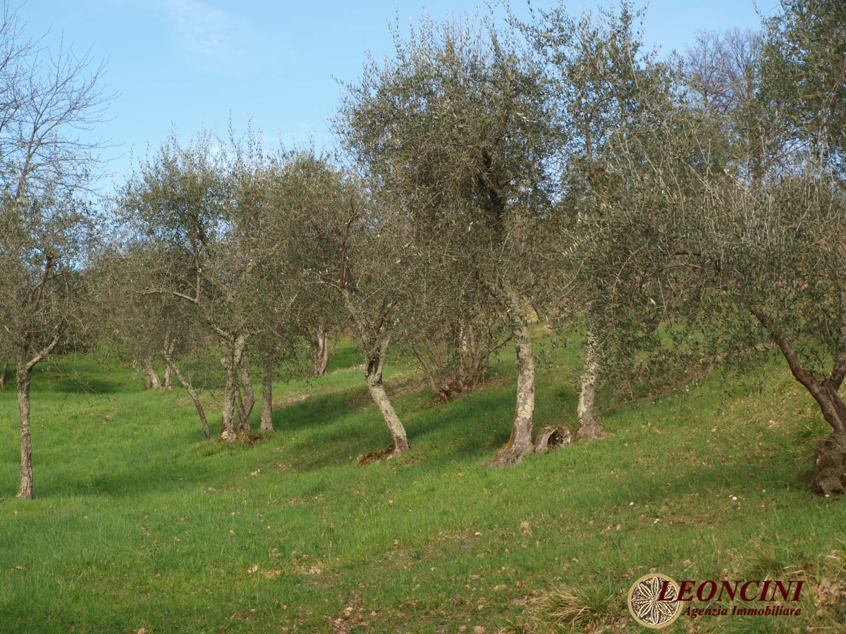 2 Bed, HouseFor Sale, Pontremoli, Toscana