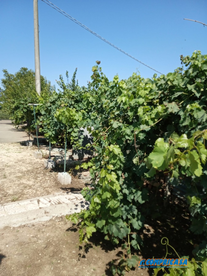 6 Bed, HouseFor Sale, Verona, Veneto 6 Bed, HouseFor Sale, Verona, Veneto