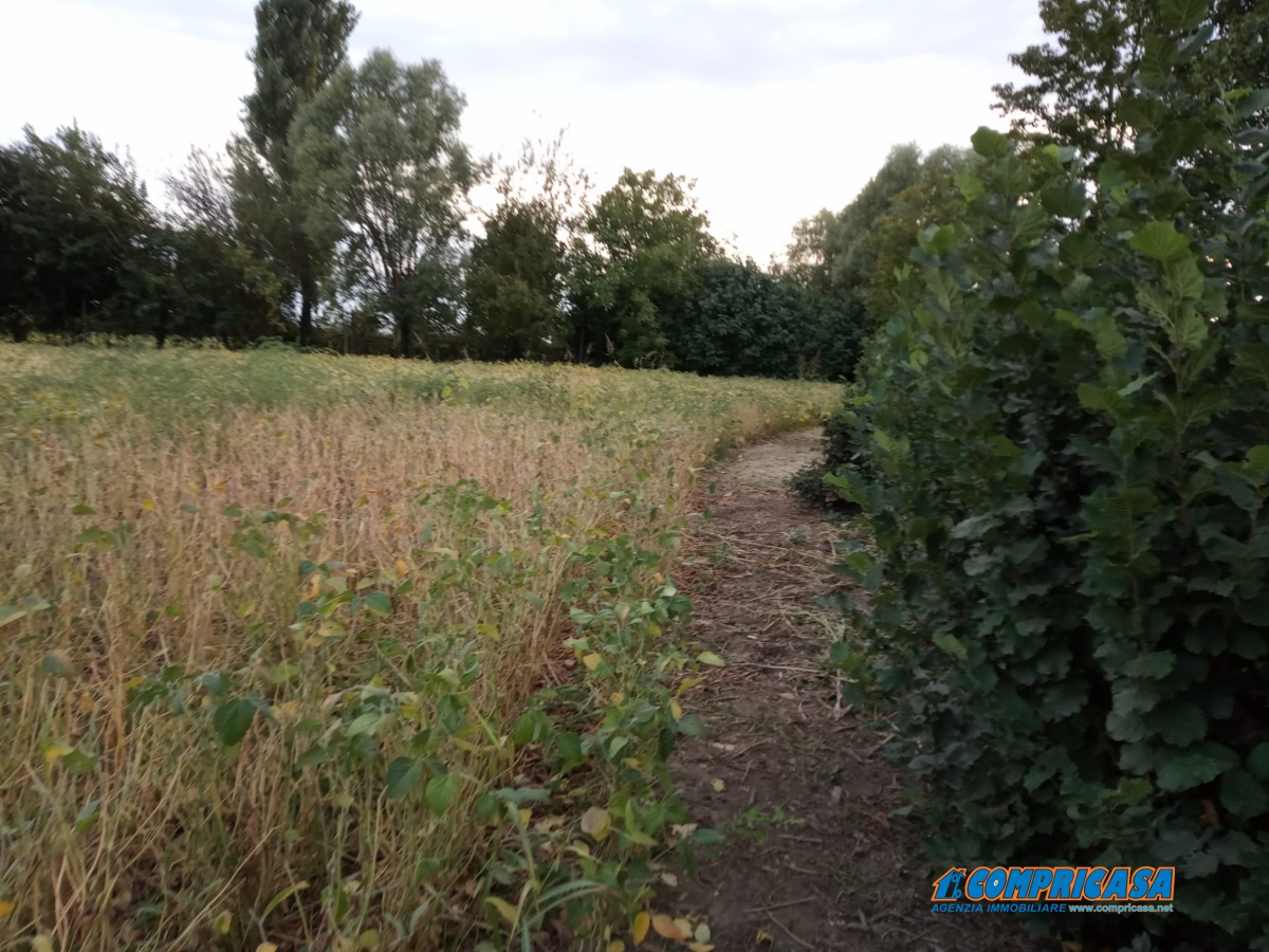 3 Bed, HouseFor Sale, Montagnana, Padova, Veneto