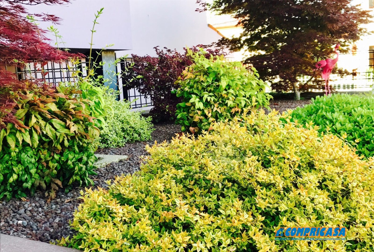 3 Bed, HouseFor Sale, Montagnana, Padova, Veneto