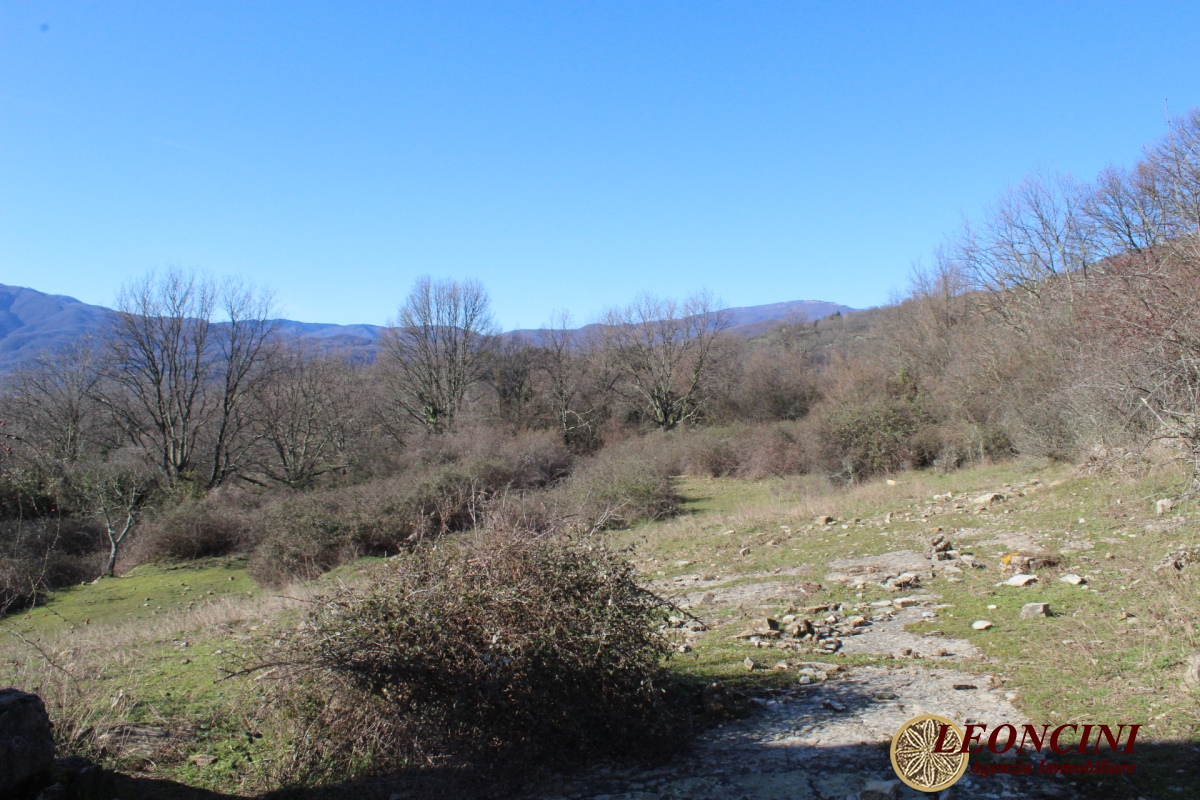 4 Bed, HouseFor Sale, Pontremoli, Toscana 4 Bed, HouseFor Sale, Pontremoli, Toscana