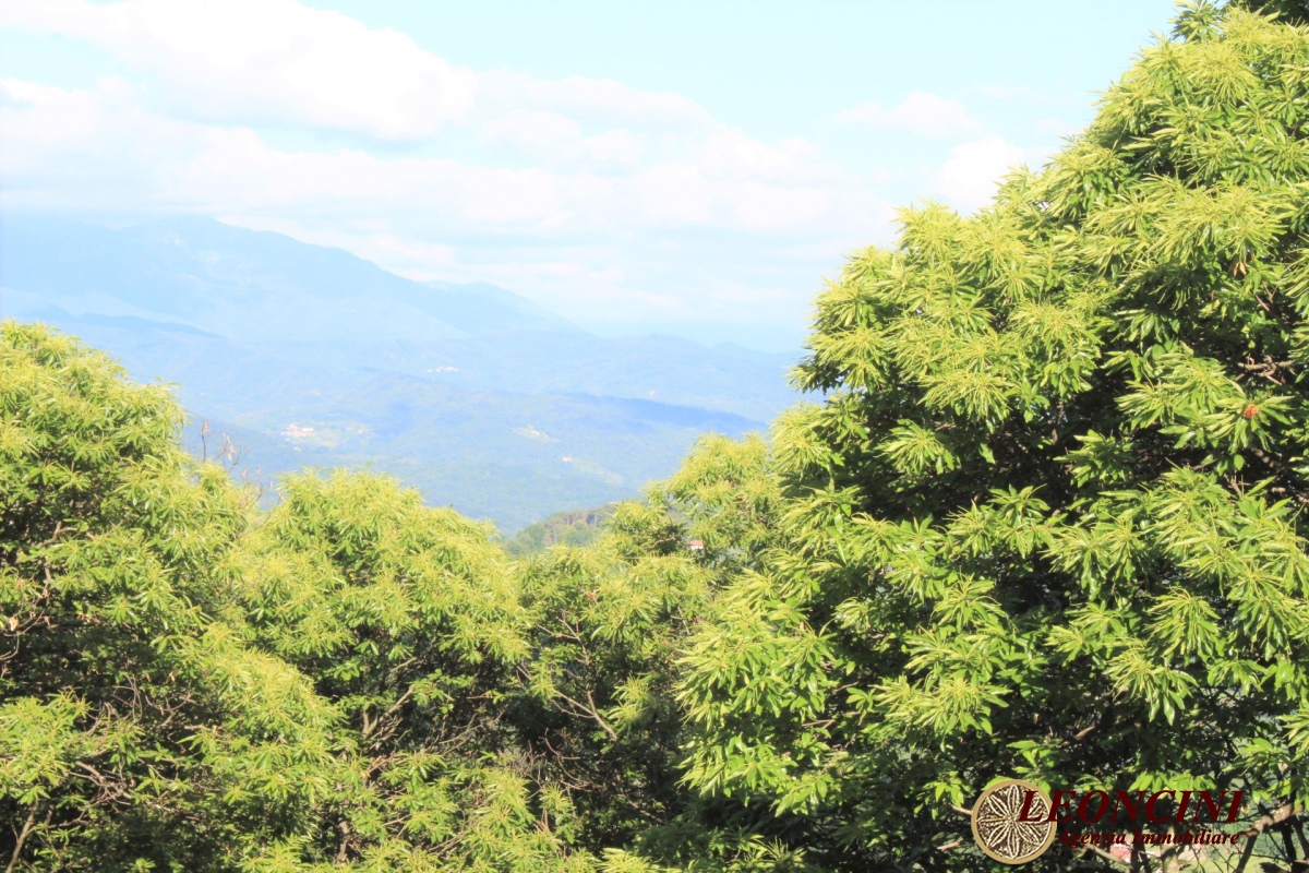 2 Bed, HouseFor Sale, Pontremoli, Toscana