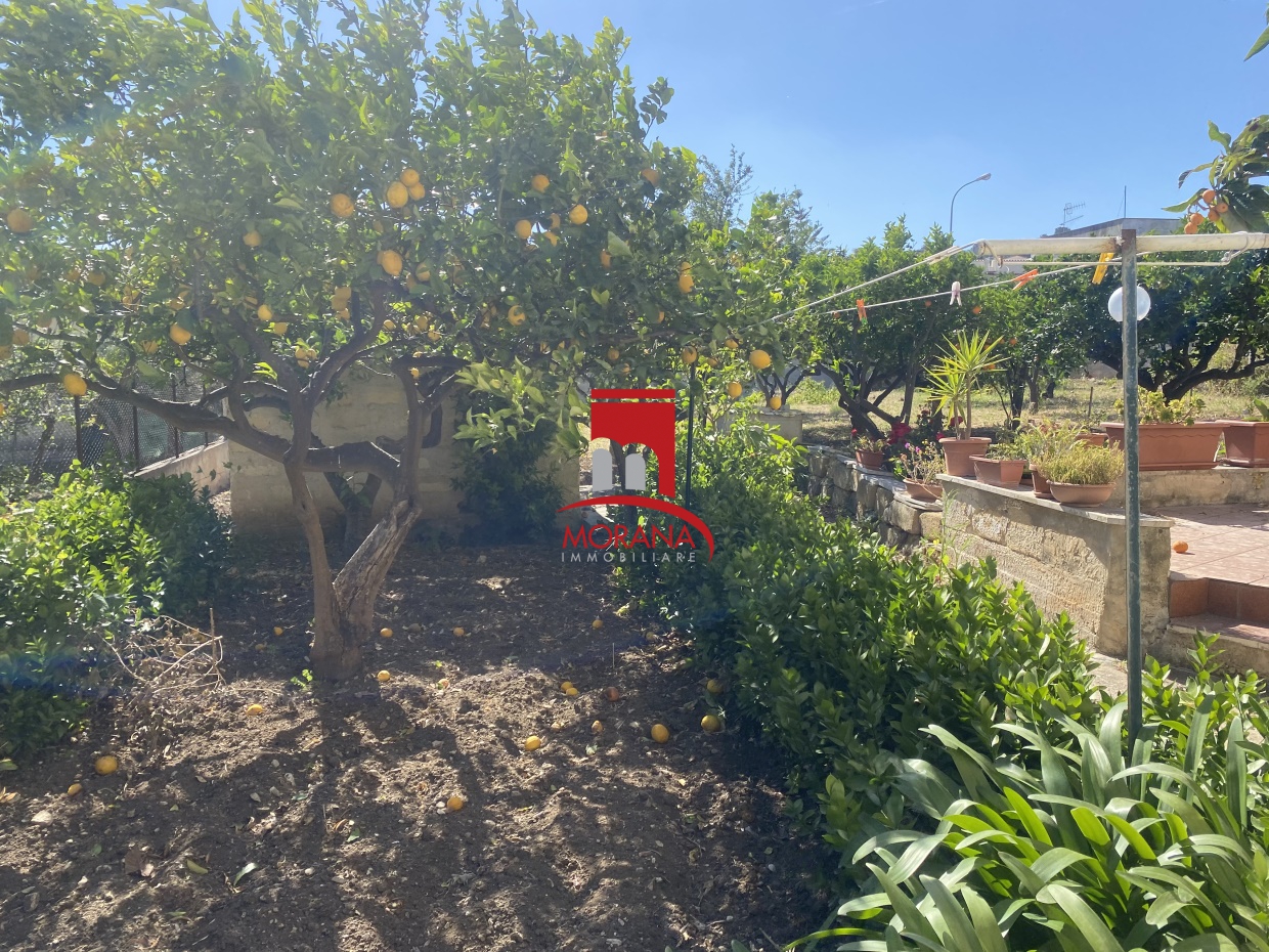 5 Bed, HouseFor Sale, Trapani, Sicilia 5 Bed, HouseFor Sale, Trapani, Sicilia