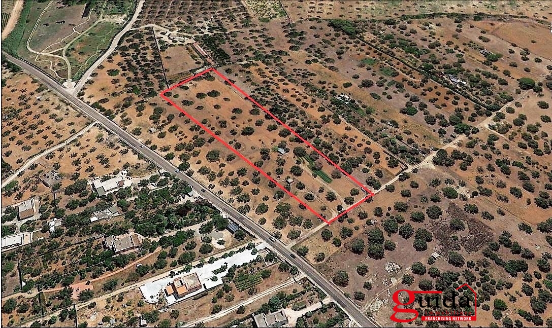 Land, For Sale Land, For Sale