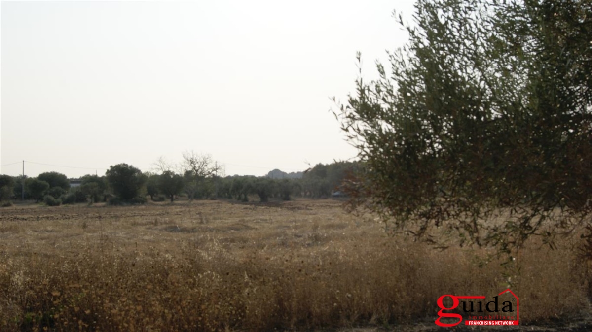 Land, For Sale Land, For Sale