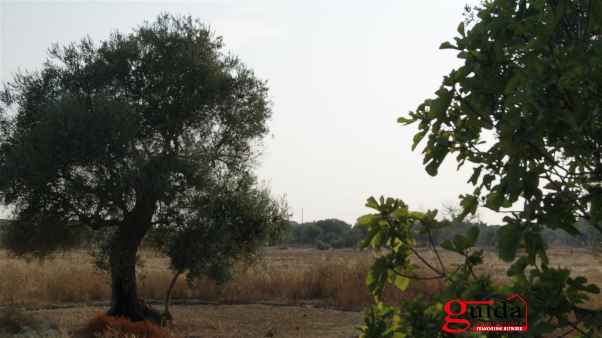 Land, For Sale Land, For Sale