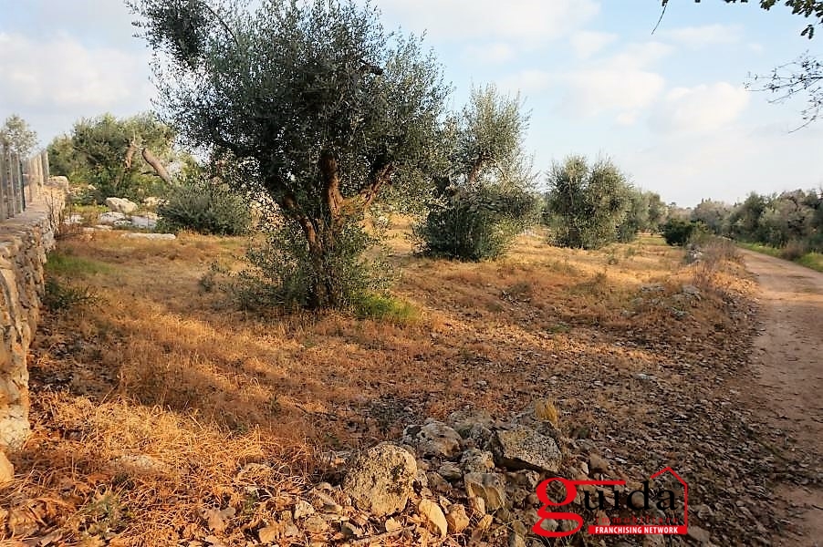 Land, For Sale Land, For Sale