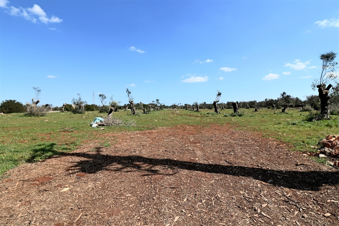 Land, For Sale Land, For Sale