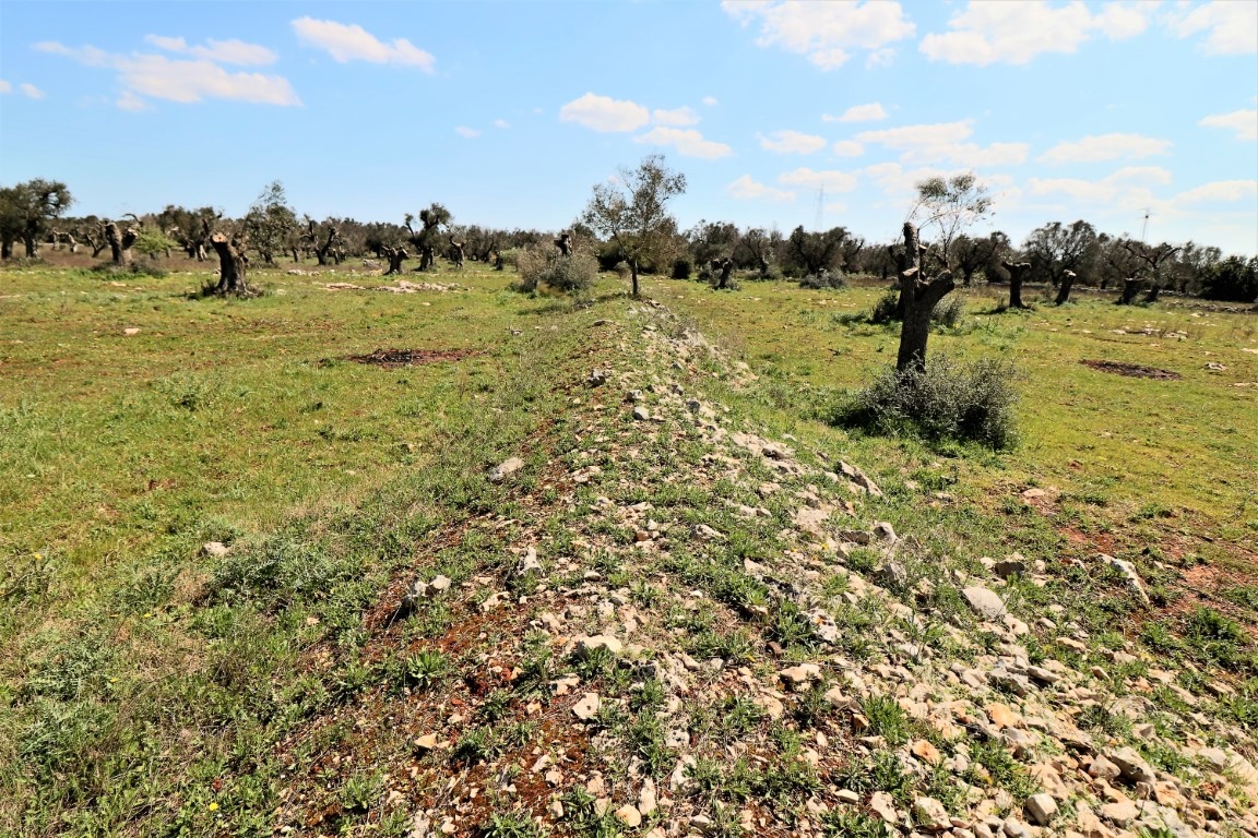 Land, For Sale Land, For Sale