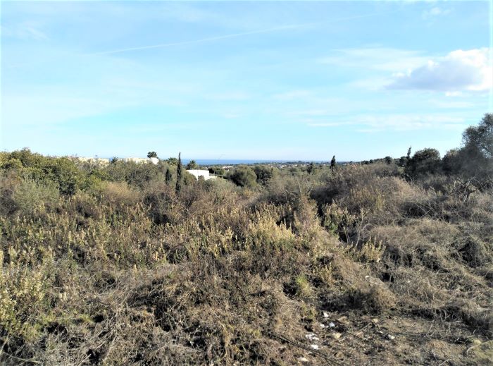 Land, For Sale Land, For Sale