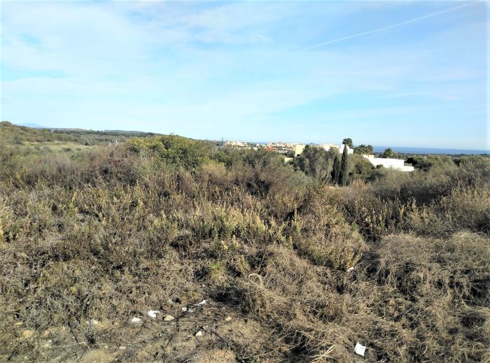 Land, For Sale Land, For Sale