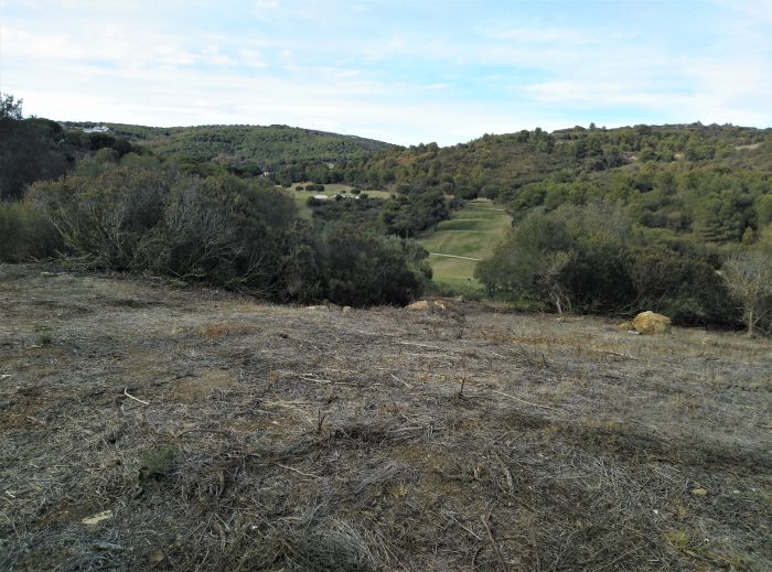 Land, For Sale Land, For Sale