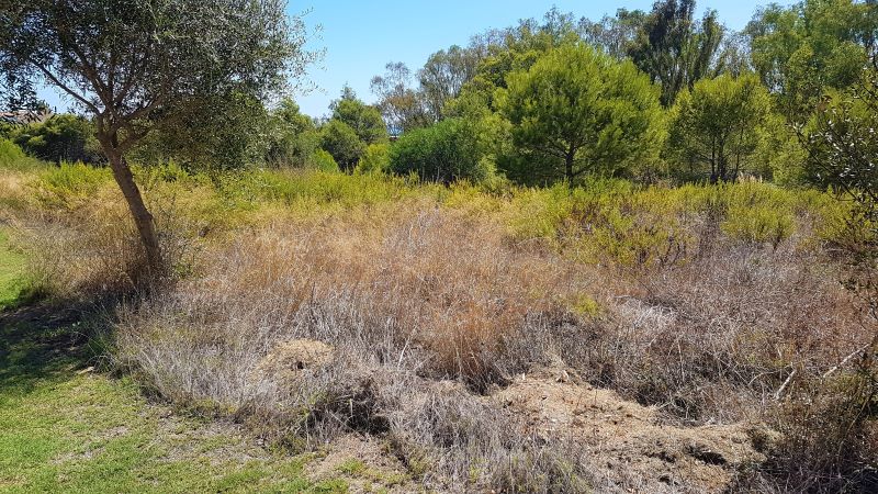 Land, For Sale Land, For Sale