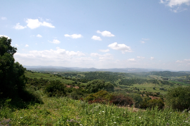 Land, For Sale Land, For Sale