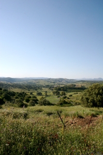 Land, For Sale Land, For Sale
