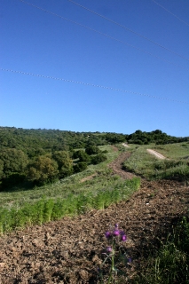 Land, For Sale Land, For Sale
