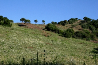 Land, For Sale Land, For Sale