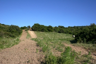 Land, For Sale Land, For Sale