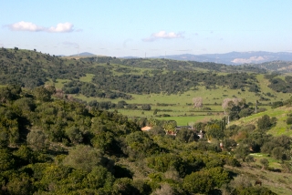 Land, For Sale Land, For Sale