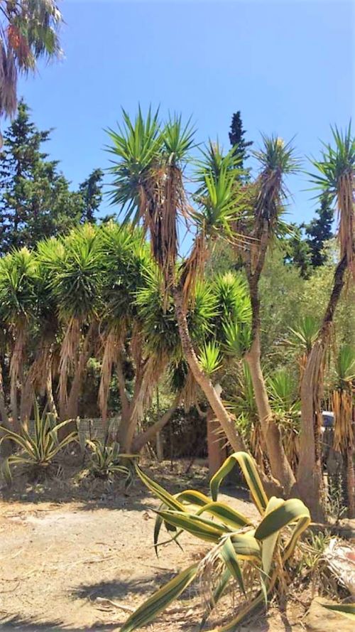 Commercial Property, For Sale Commercial Property, For Sale