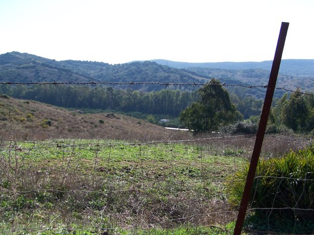 Land, For Sale Land, For Sale