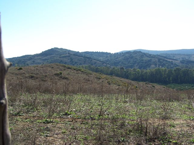 Land, For Sale Land, For Sale