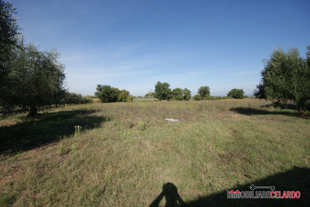 5 Bed, HouseFor Sale, Siena, Toscana