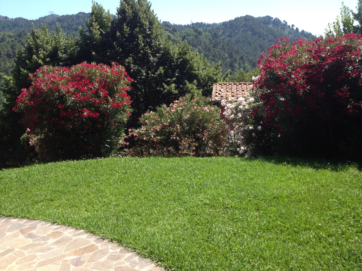 3 Bed, HouseFor Sale, Camaiore, Lucca, Toscana
