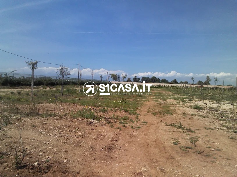 1 Bed, HouseFor Sale, Galatone, Lecce, Puglia 1 Bed, HouseFor Sale, Galatone, Lecce, Puglia