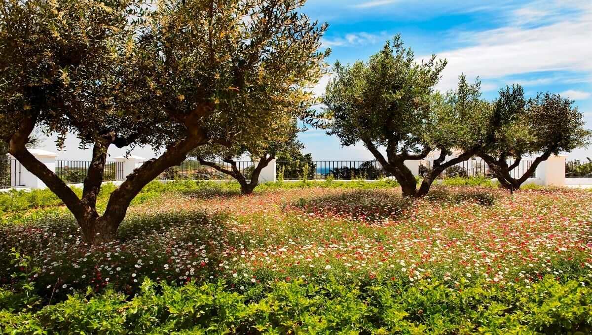 5 Bed, 6 Bath, HouseFor Sale, Casares, Malaga