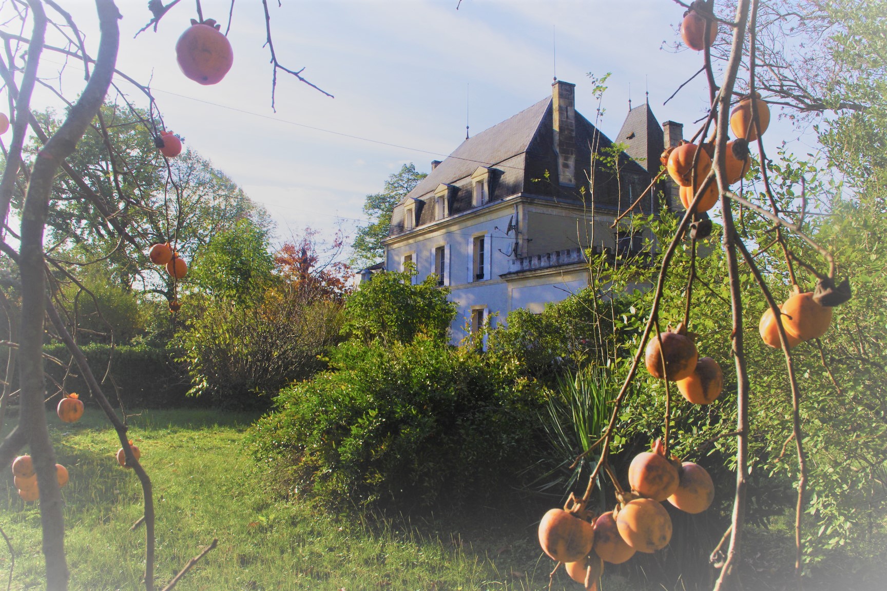 12 Bed, 3 Bath, HouseFor Sale, Pineuilh, Gironde, Aquitaine, 33220