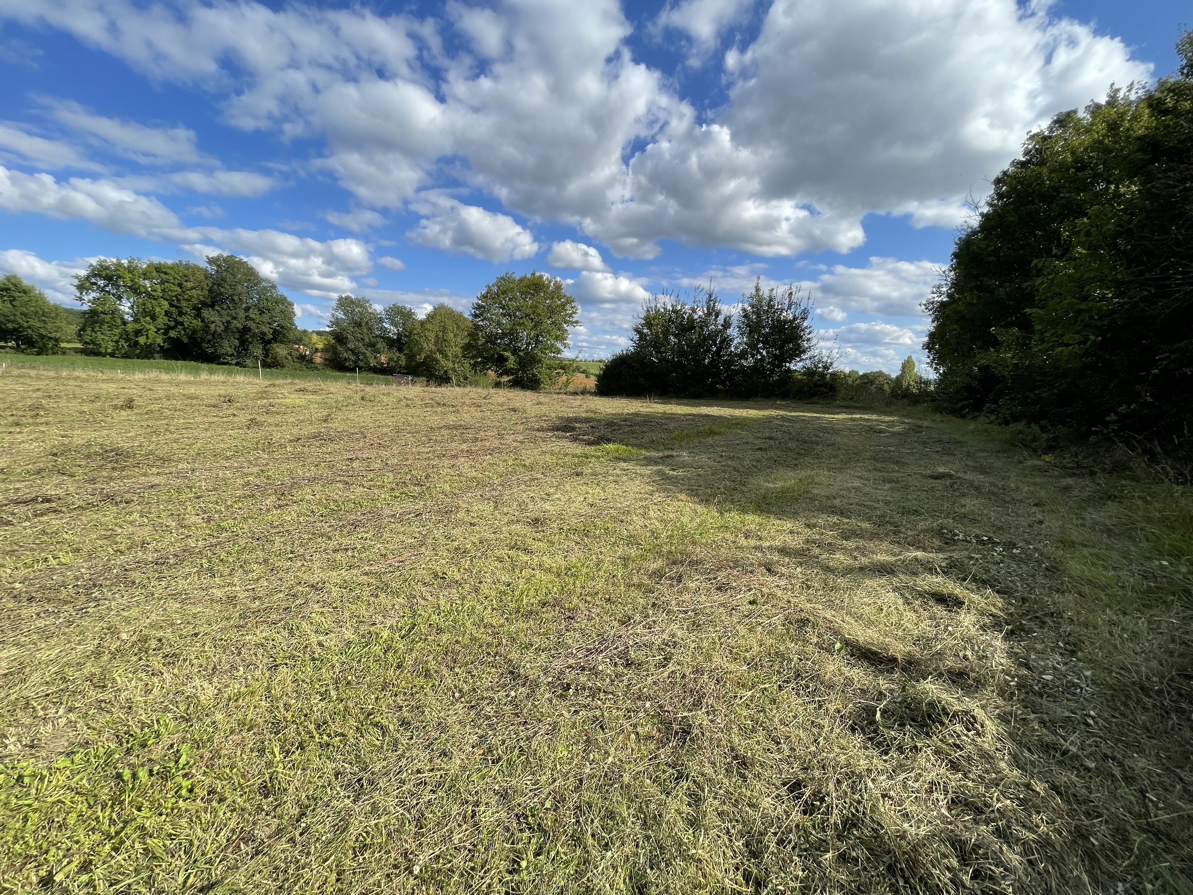 Land, For Sale