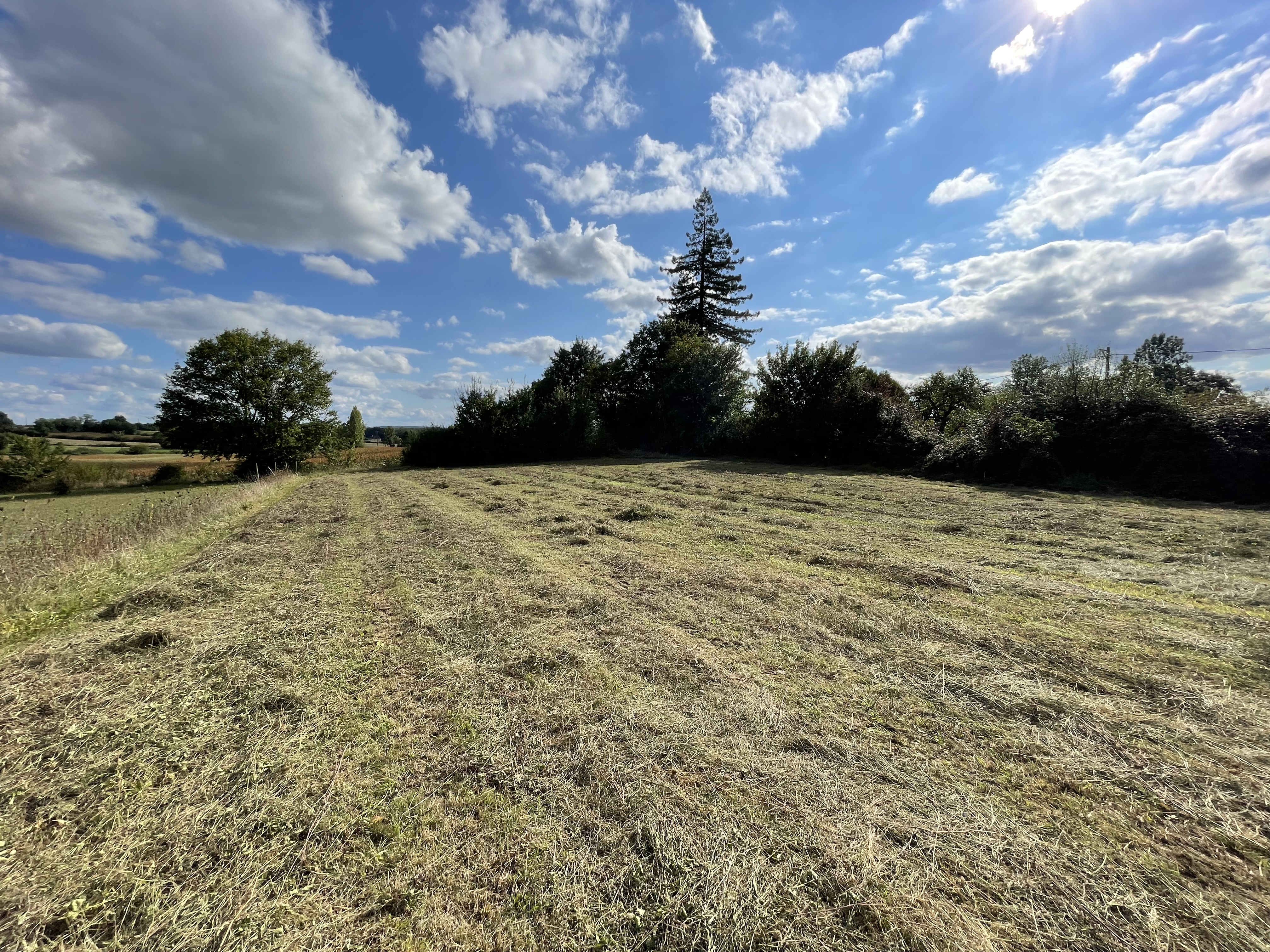 Land, For Sale