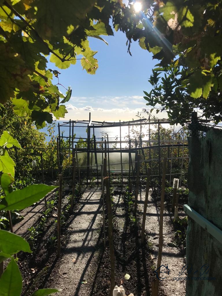 2 Bed, HouseFor Sale, Alassio, Savona, Liguria 2 Bed, HouseFor Sale, Alassio, Savona, Liguria