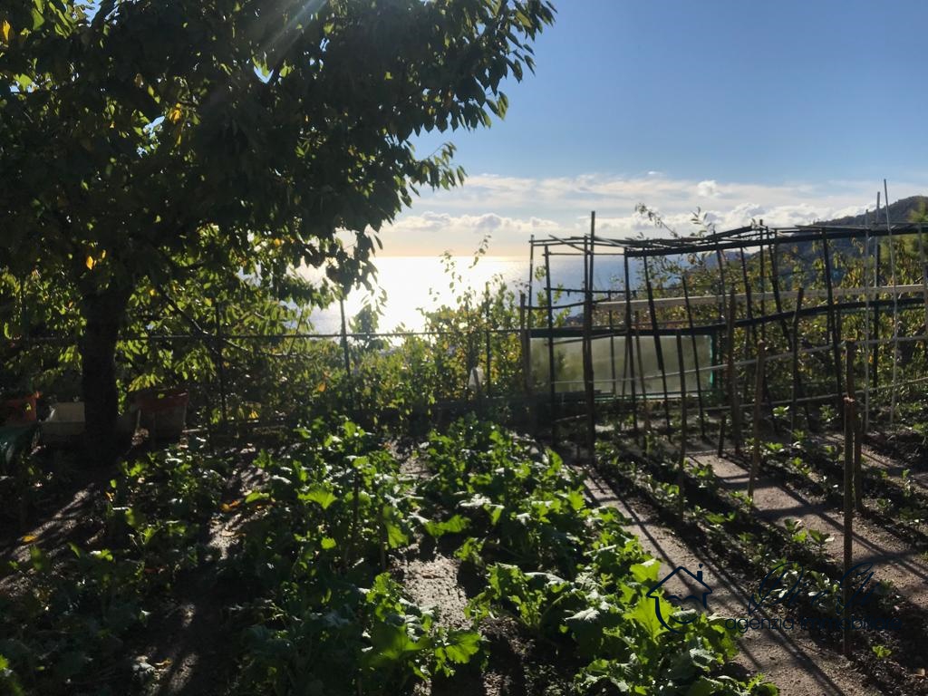 2 Bed, HouseFor Sale, Alassio, Savona, Liguria 2 Bed, HouseFor Sale, Alassio, Savona, Liguria