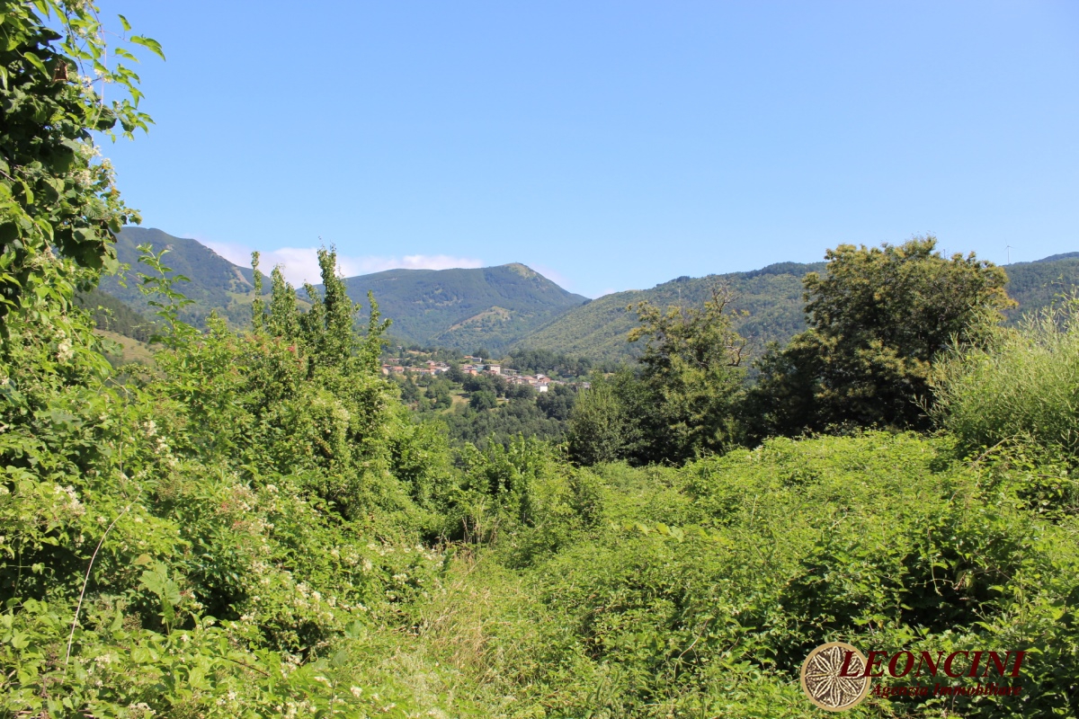 5 Bed, HouseFor Sale, Toscana