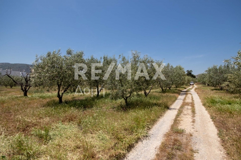 HouseFor Sale, Nees Pagases, Volos, Magnesia HouseFor Sale, Nees Pagases, Volos, Magnesia
