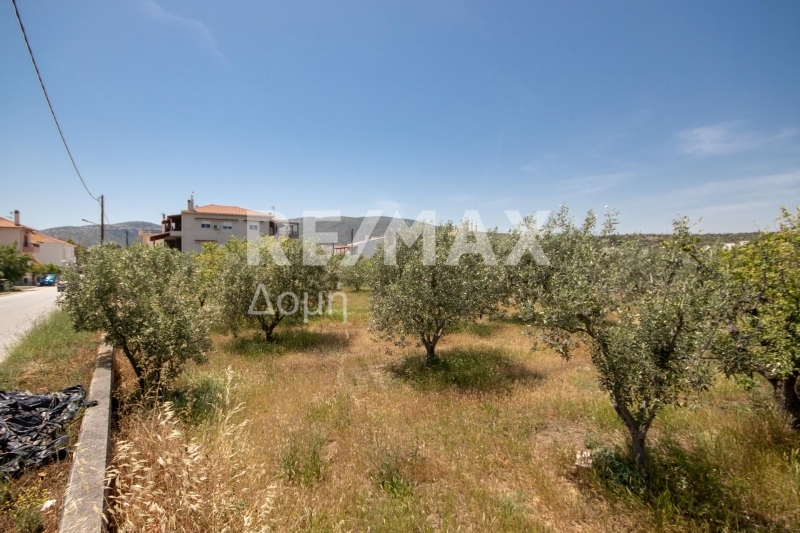 HouseFor Sale, Nees Pagases, Volos, Magnesia HouseFor Sale, Nees Pagases, Volos, Magnesia