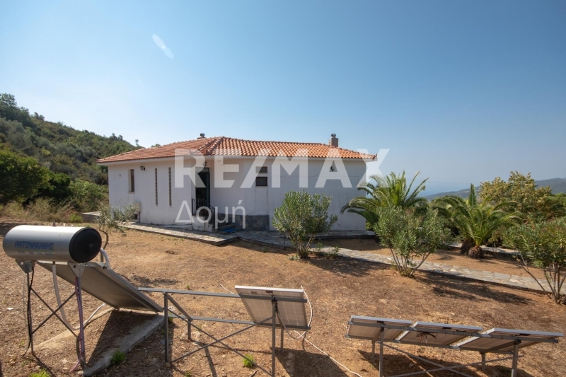 3 Bed, 2 Bath, HouseFor Sale, Platania, Sipiada, Magnesia 3 Bed, 2 Bath, HouseFor Sale, Platania, Sipiada, Magnesia