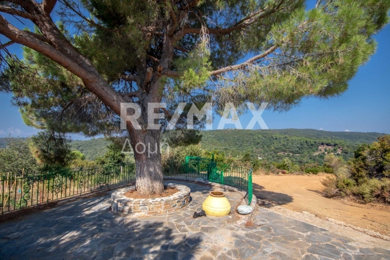3 Bed, 2 Bath, HouseFor Sale, Platania, Sipiada, Magnesia 3 Bed, 2 Bath, HouseFor Sale, Platania, Sipiada, Magnesia