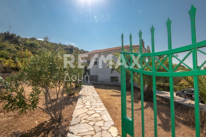 3 Bed, 2 Bath, HouseFor Sale, Platania, Sipiada, Magnesia 3 Bed, 2 Bath, HouseFor Sale, Platania, Sipiada, Magnesia