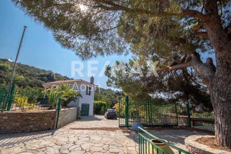 3 Bed, 2 Bath, HouseFor Sale, Platania, Sipiada, Magnesia 3 Bed, 2 Bath, HouseFor Sale, Platania, Sipiada, Magnesia