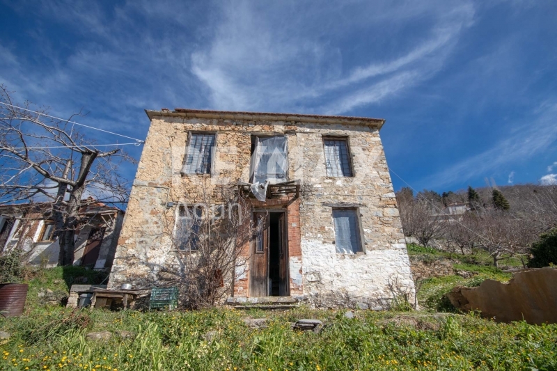 2 Bed, 1 Bath, HouseFor Sale, Agios Lavrentios, Artemida, Magnesia 2 Bed, 1 Bath, HouseFor Sale, Agios Lavrentios, Artemida, Magnesia