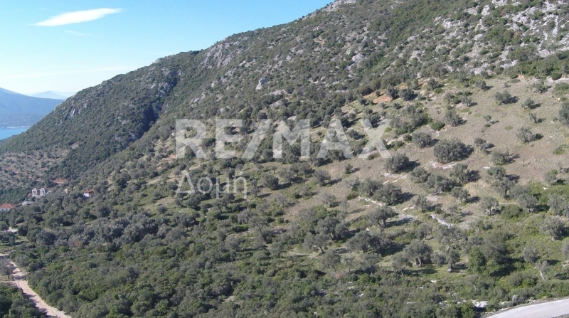 HouseFor Sale, Lafkos, Sipiada, Magnesia HouseFor Sale, Lafkos, Sipiada, Magnesia