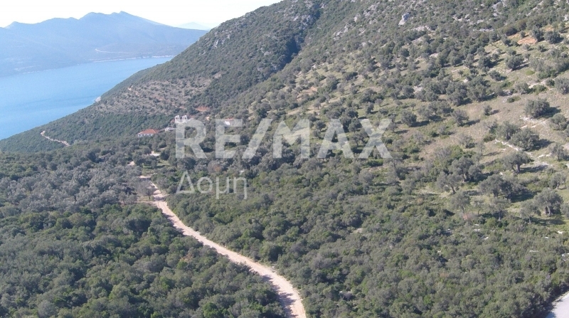 HouseFor Sale, Lafkos, Sipiada, Magnesia HouseFor Sale, Lafkos, Sipiada, Magnesia